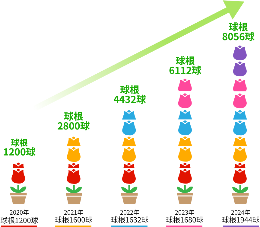年度別活動実績の推移